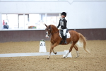 SBM_004202