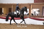 BPP_2136