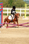 SBM_006247