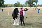 WJ6_6738