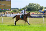 260826-Race 2-Lady Gormire-2373