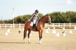 SBM_008599
