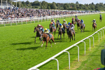 230824-Race 5-Canoodled-9735