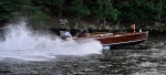 Whippet23-3299