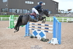 Sun Cls 8 BlueChip Pony Coral Qualifier portfolio