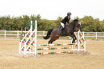 SBM_007910