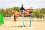 SBM_006510