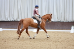 SBM_001384