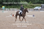 BPP_6959
