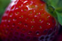 Strawberry - 5460