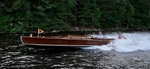 Whippet23-3328