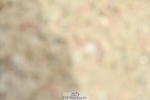 230702A-140903-10017