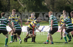 St Jacques v Tottonians-16
