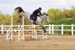 SBM_002297