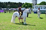 SBM_06052