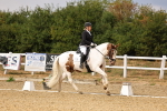 SBM_006585