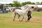 SBM_04179