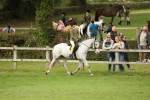 SBM_71634