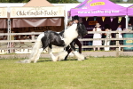 SBM_08771