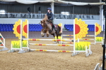 SBM_001228