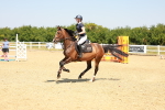 SBM_001003