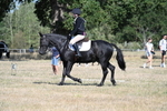 WJ7_9503