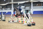 Class 2 - Senior British Novice - 90cm portfolio
