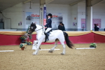 SBM_06634