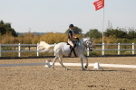 SBM_006913