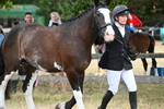 WJ6_8075