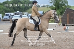 BPP_0404