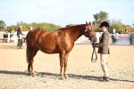 SBM_08506
