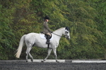 WJ7_8044