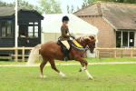 SBM_75169