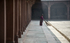 Columns of dust