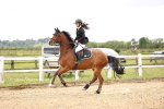 SBM_007792