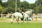 SBM_72014