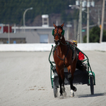 Exhibition Park Raceway Saint John New Brunswick Canada
