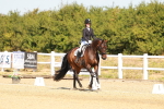 SBM_017679