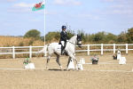 SBM_013811