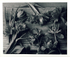 Black & white tulips