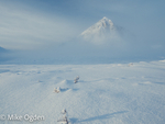 Bucchaille Etive Mor in the Mist, 2