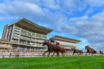 230923-Race 7-Two Brothers-3516