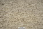 230722A-115944-09006
