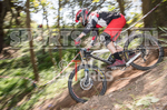 MTB 2017  Downhill Race-2-18