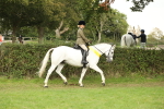 SBM_75351