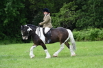 WJ7_2342