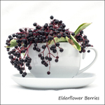 Elderflower Berries
