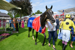 260725-Race 3-Royal Champion-0562