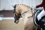 SBM_005344